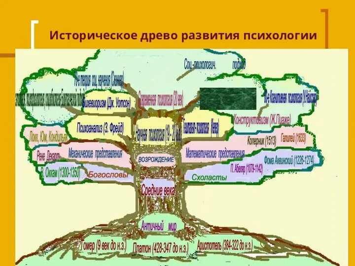 Историческое древо развития психологии Гештальт- психология (Келер) Соц.-психологич. подход 50-е Гуманистческая психология