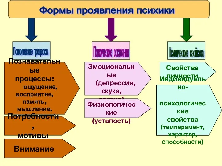 Познавательные процессы: (ощущение, восприятие, память, мышление, воображение) Потребности, мотивы Внимание Эмоциональные (депрессия,