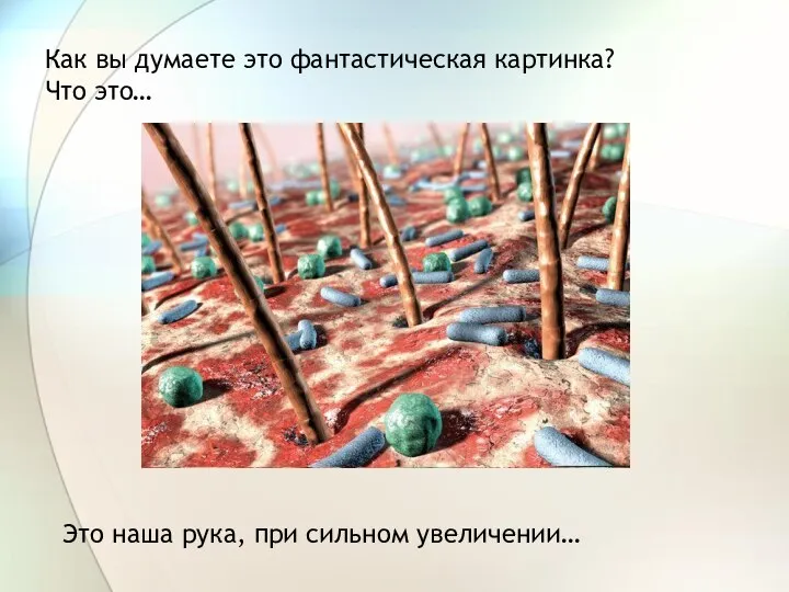 Как вы думаете это фантастическая картинка? Что это… Это наша рука, при сильном увеличении…