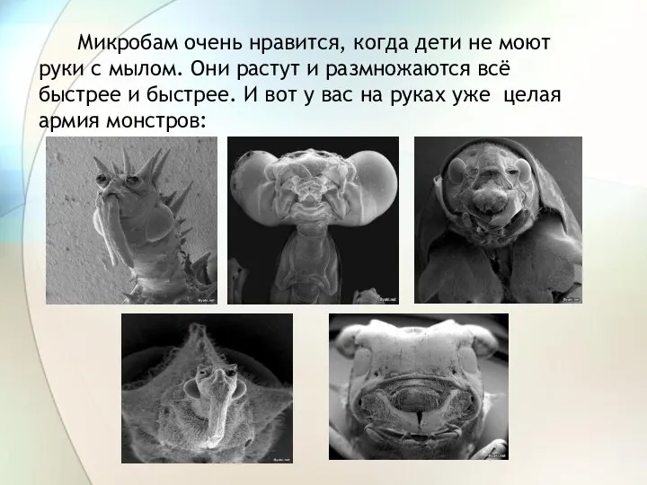 Микробам очень нравится, когда дети не моют руки с мылом. Они растут