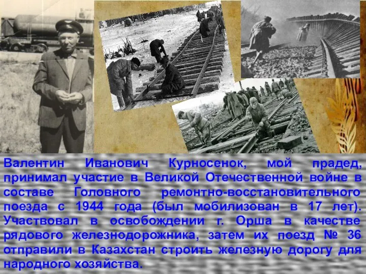 Валентин Иванович Курносенок, мой прадед, принимал участие в Великой Отечественной войне в