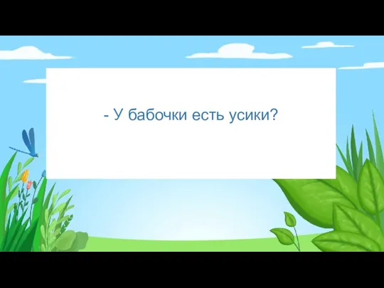 - У бабочки есть усики?