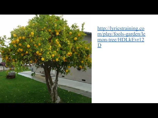 http://lyricstraining.com/play/fools-garden/lemon-tree/HDLkEvr12D