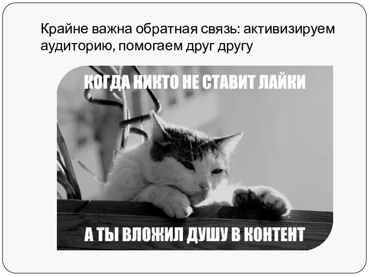 Крайне важна обратная связь: активизируем аудиторию, помогаем друг другу