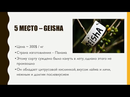 5 МЕСТО – GEISHA Цена ~ 300$ / кг Страна изготовления –