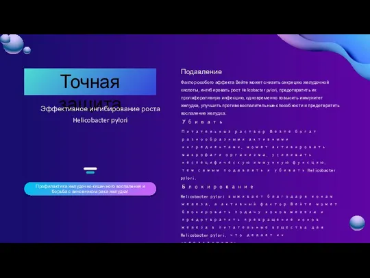 Точная защита Эффективное ингибирование роста Helicobacter pylori Профилактика желудочно-кишечного воспаления и борьба