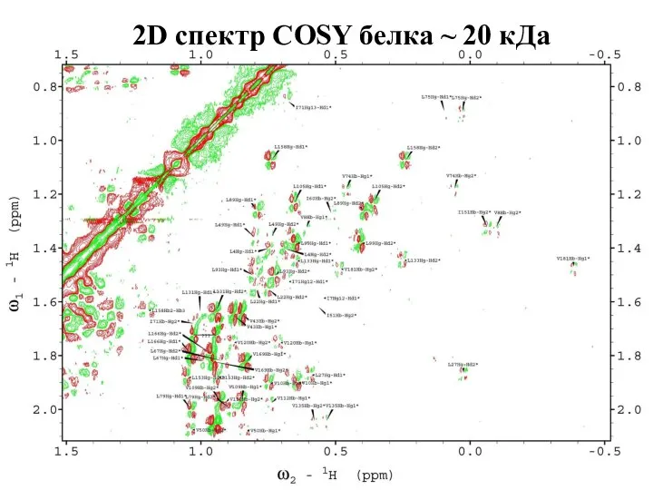2D спектр COSY белка ~ 20 кДа