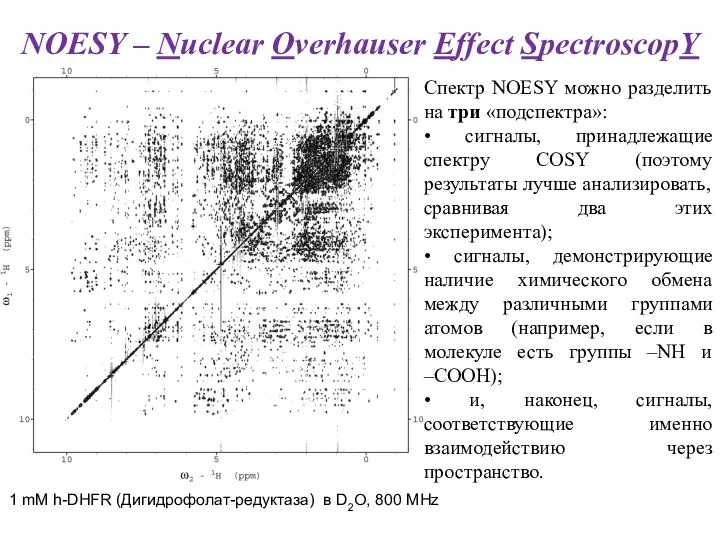 NOESY – Nuclear Overhauser Effect SpectroscopY 1 mM h-DHFR (Дигидрофолат-редуктаза) в D2O,