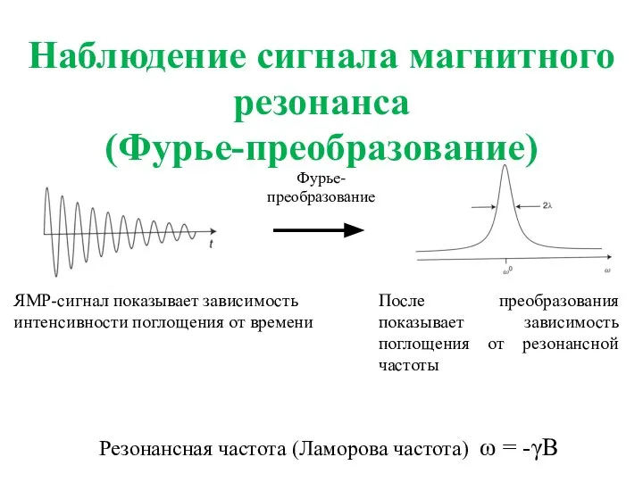 Фурье- преобразование Наблюдение сигнала магнитного резонанса (Фурье-преобразование) Резонансная частота (Ламорова частота) ω