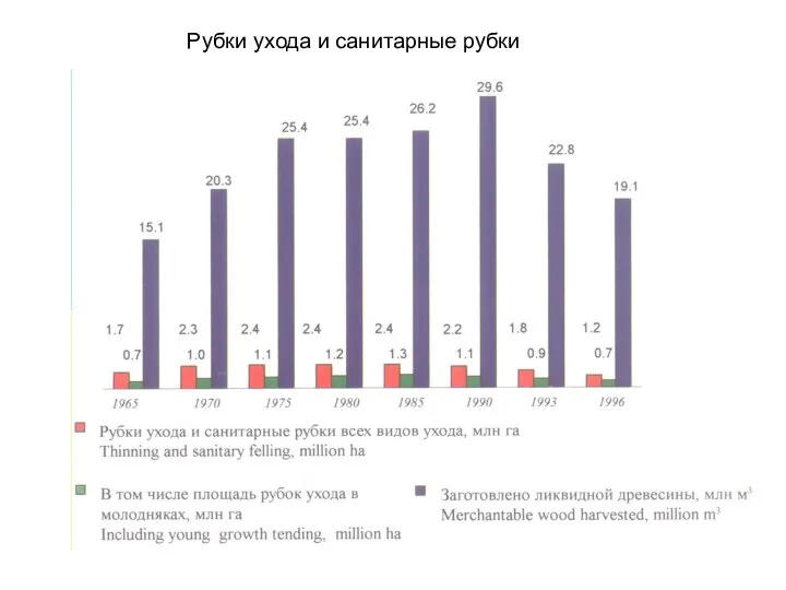 Рубки ухода и санитарные рубки