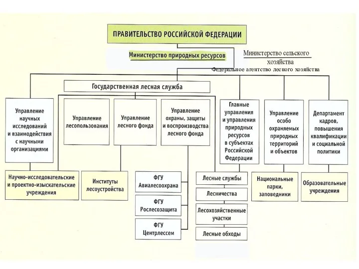 Федеральное агентство лесного хозяйства