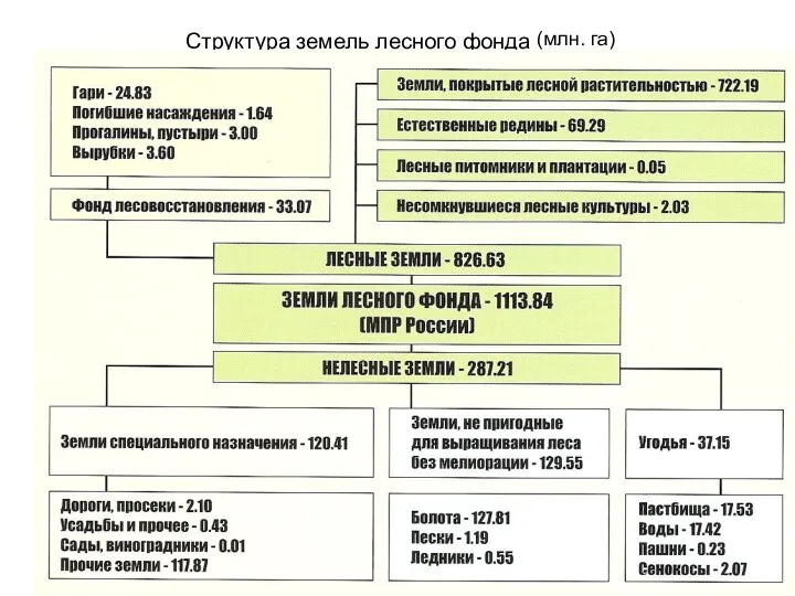 Структура земель лесного фонда (млн. га)