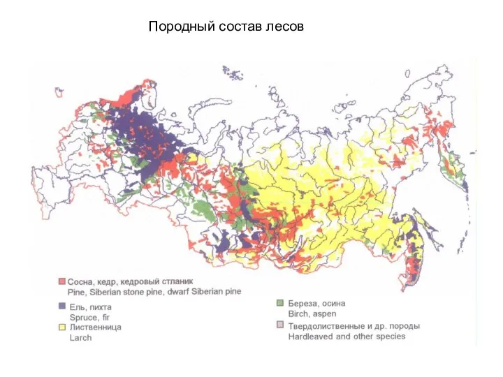 Породный состав лесов