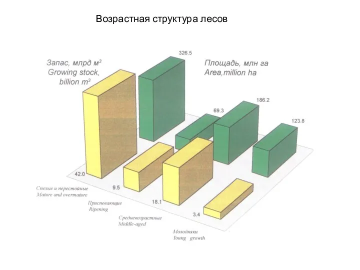 Возрастная структура лесов