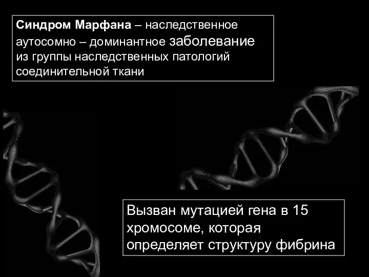 Синдром Марфана – наследственное аутосомно – доминантное заболевание из группы наследственных патологий