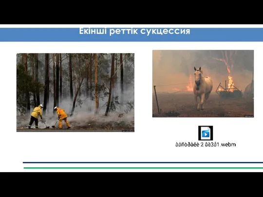 Антропогендік фактор – айнала қоршаған ортаға тигізетін адам баласы іс - әрекетінің