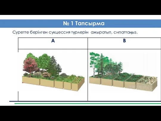 Суретте берілген сукцессия түрлерін ажыратып, сипаттаңыз. № 1 Тапсырма