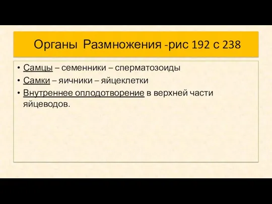 Органы Размножения -рис 192 с 238 Самцы – семенники – сперматозоиды Самки