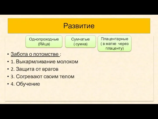 Развитие Забота о потомстве : 1. Выкармливание молоком 2. Защита от врагов