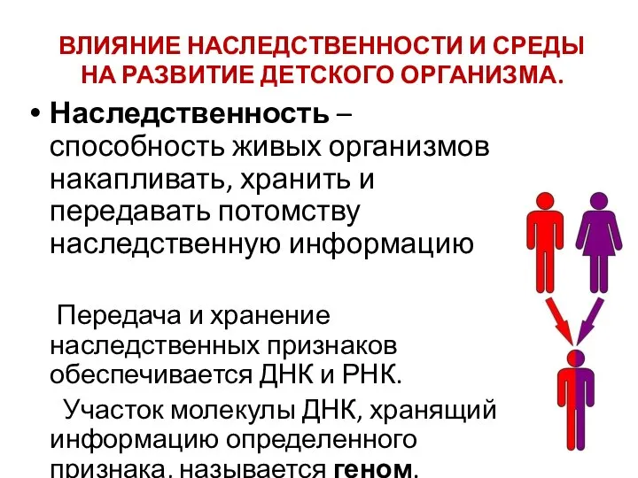 ВЛИЯНИЕ НАСЛЕДСТВЕННОСТИ И СРЕДЫ НА РАЗВИТИЕ ДЕТСКОГО ОРГАНИЗМА. Наследственность – способность живых