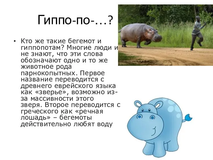 Гиппо-по-…? Кто же такие бегемот и гиппопотам? Многие люди и не знают,