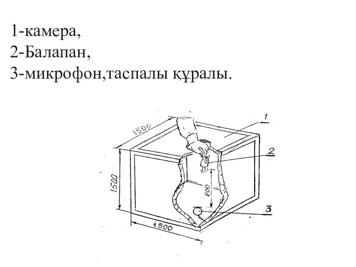 1-камера, 2-Балапан, 3-микрофон,таспалы құралы.