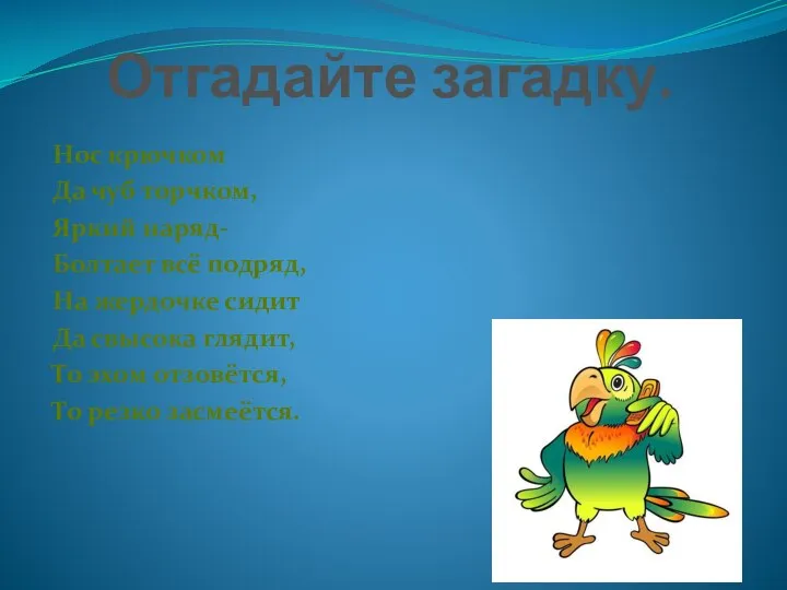 Отгадайте загадку. Нос крючком Да чуб торчком, Яркий наряд- Болтает всё подряд,