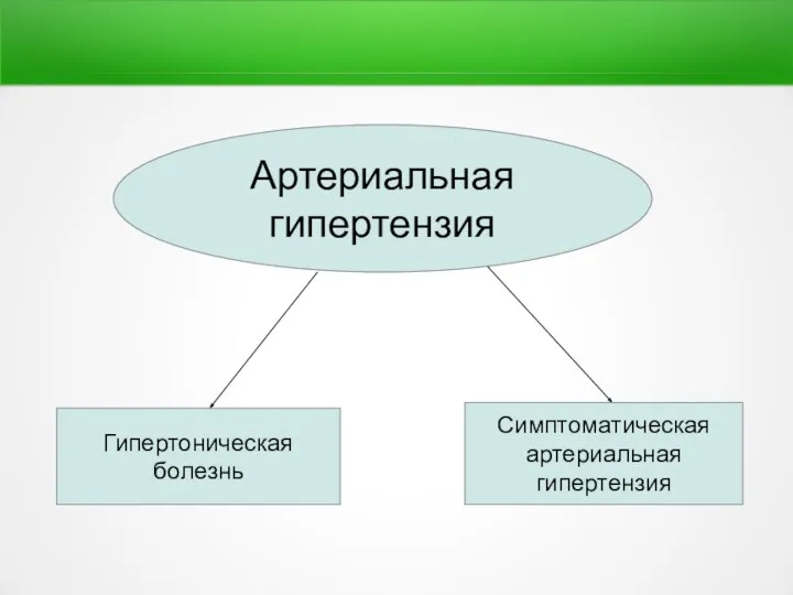 Артериальная гипертензия Гипертоническая болезнь Симптоматическая артериальная гипертензия