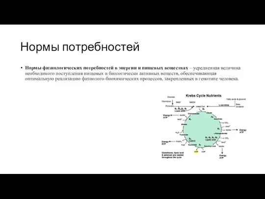 Нормы потребностей Нормы физиологических потребностей в энергии и пищевых веществах – усредненная