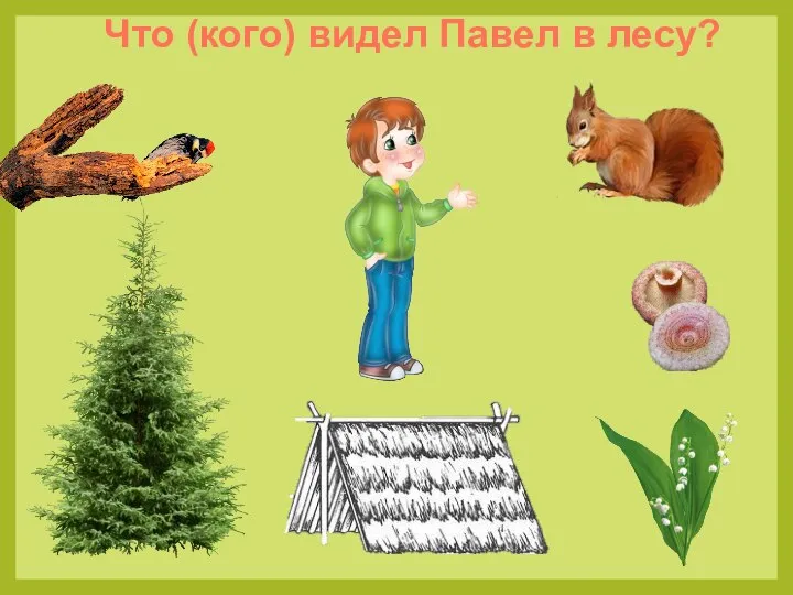 Что (кого) видел Павел в лесу?