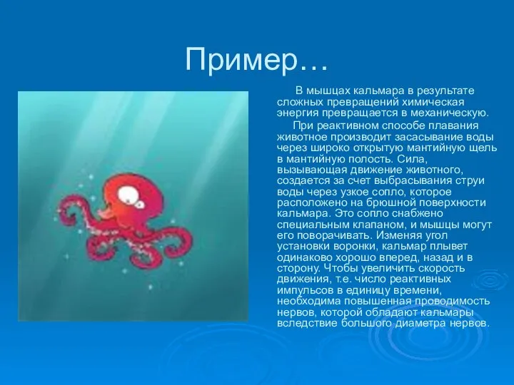 Пример… В мышцах кальмара в результате сложных превращений химическая энергия превращается в