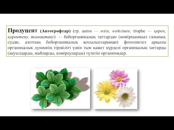 Продуцент (Автотрофтар) (гр. autos — өзім, өздігінен; trophe — қорек, қоректену, тамақтану)