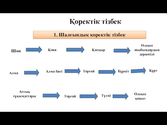 1. Шалғындық қоректік тізбек Қасқыр Алма Шөп Қоян Алма биті Торғай Бүркіт