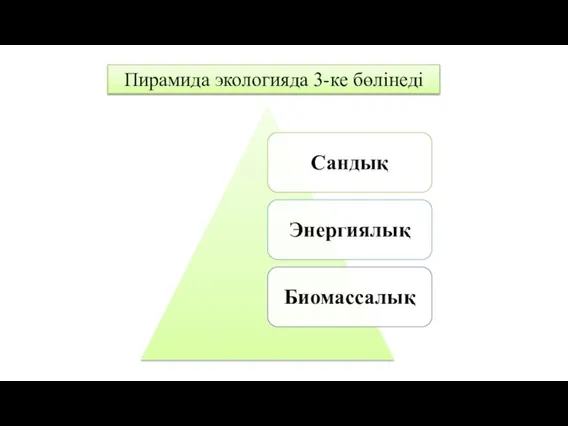 Пирамида экологияда 3-ке бөлінеді