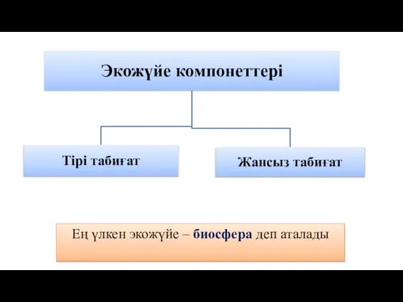 Ең үлкен экожүйе – биосфера деп аталады