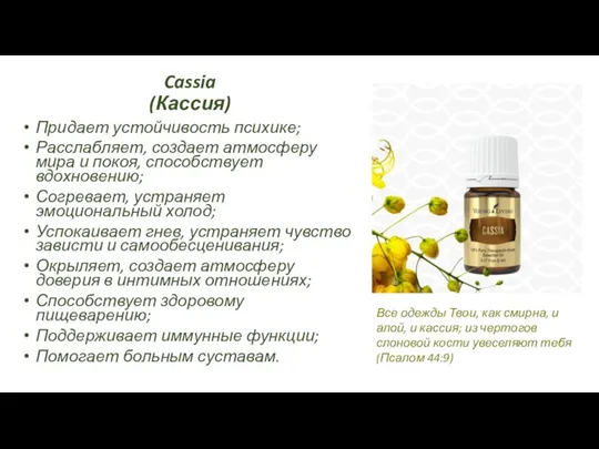 Cassia (Кассия) Придает устойчивость психике; Расслабляет, создает атмосферу мира и покоя, способствует