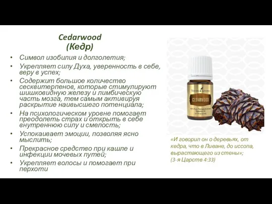 Cedarwood (Кедр) Символ изобилия и долголетия; Укрепляет силу Духа, уверенность в себе,