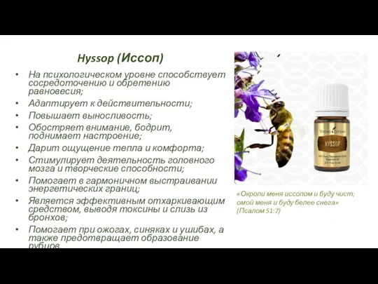 Hyssop (Иссоп) На психологическом уровне способствует сосредоточению и обретению равновесия; Адаптирует к