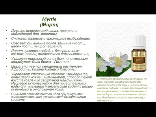 Myrtle (Мирт) Духовно исцеляющий запах, прекрасно подходящий для молитвы; Снимает тревогу и