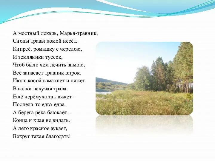 А местный лекарь, Марья-травник, Снопы травы домой несёт. Кипреё, ромашку с чередою,