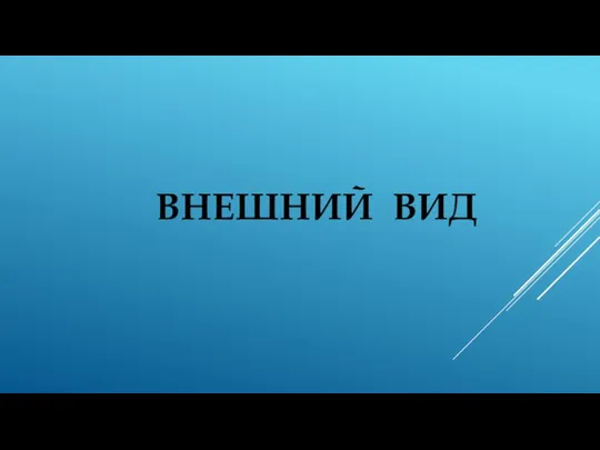 ВНЕШНИЙ ВИД