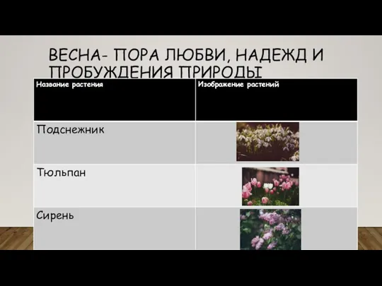 ВЕСНА- ПОРА ЛЮБВИ, НАДЕЖД И ПРОБУЖДЕНИЯ ПРИРОДЫ