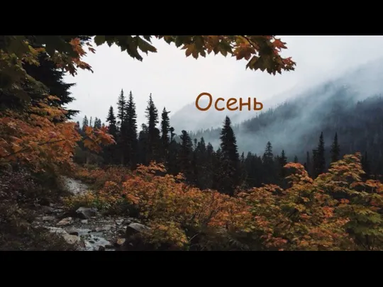 Осень