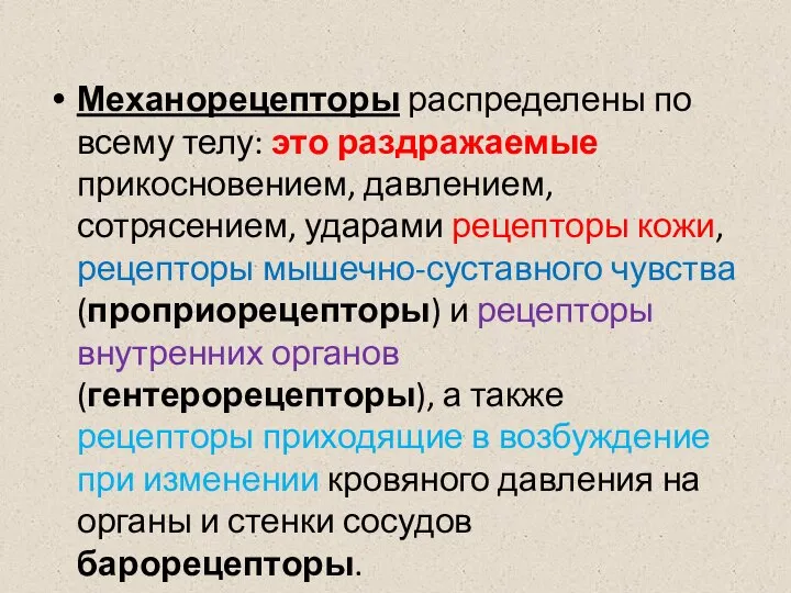 Механорецепторы распределены по всему телу: это раздражаемые прикосновением, давлением, сотрясением, ударами рецепторы