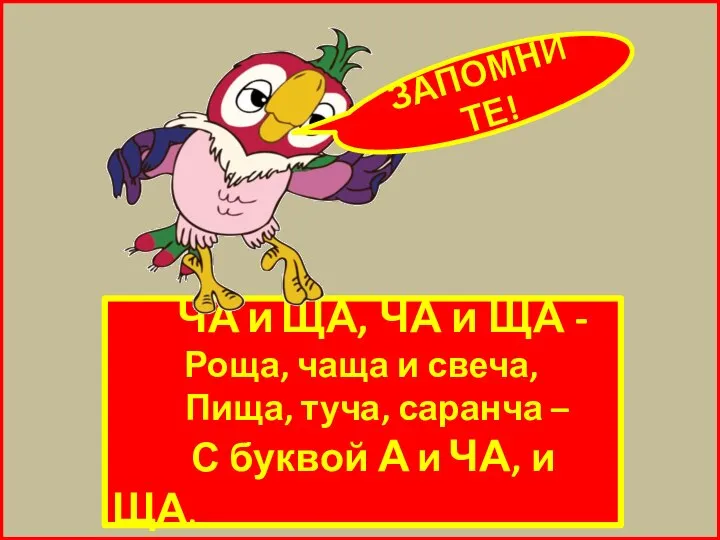 ЧА и ЩА, ЧА и ЩА - Роща, чаща и свеча, Пища,