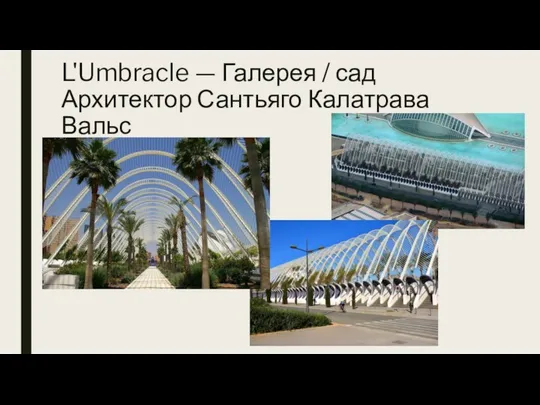 L'Umbracle — Галерея / сад Архитектор Сантьяго Калатрава Вальс