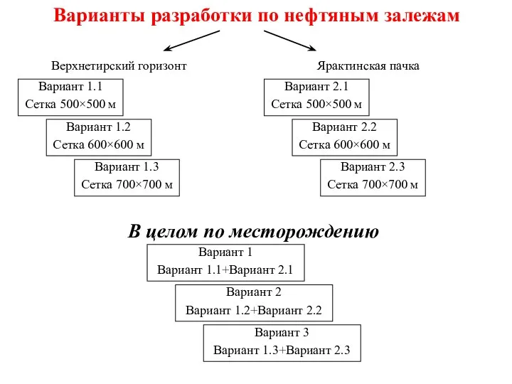 Варианты разработки по нефтяным залежам Верхнетирский горизонт Ярактинская пачка Вариант 1.1 Сетка