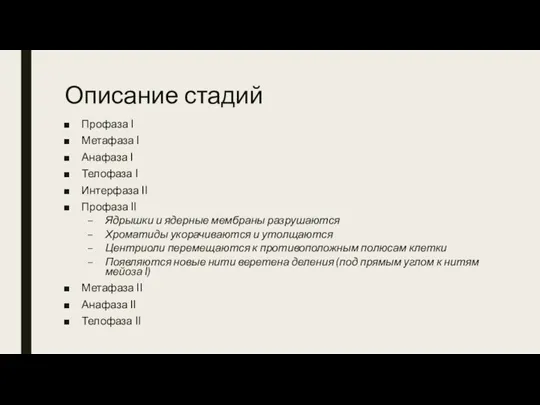 Описание стадий Профаза I Метафаза I Анафаза I Телофаза I Интерфаза II