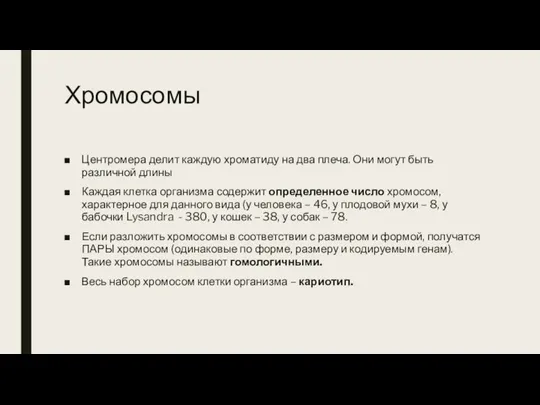 Хромосомы Центромера делит каждую хроматиду на два плеча. Они могут быть различной