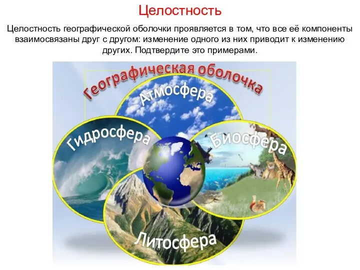 Целостность Целостность географической оболочки проявляется в том, что все её компоненты взаимосвязаны